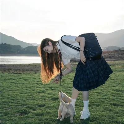 岗上花开